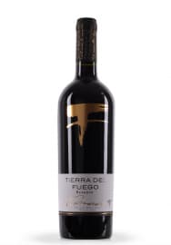 Vin Tierra Del Fuego, DO Valle del Maule, Carmenere Reserva, 2011 (0.75L)