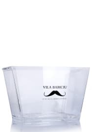 Frapiera Vila Babiciu mare