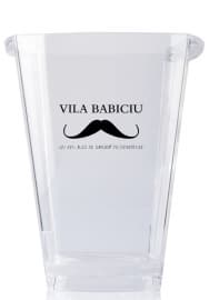 Frapiera Vila Babiciu mica