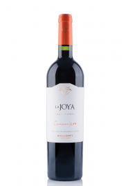 Wine Bisquertt, La Joya Carmenere Gran Reserva 2018 (0.75L)
