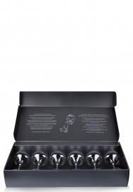 Gabriel Glas six Glass Gift Box– StandArt Wine Glass