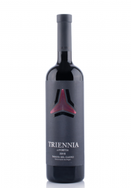 Vin Triennia de Bodegas Portia, D.O. Ribera del Duero, 2015 (0.75L)
