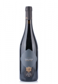 WINE CANTINA LA VIS TEROLDEGO 2019 (0.75L)