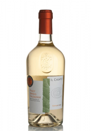 Vin Pinot Grigio Valdadige DOC 2024 (0.75L)