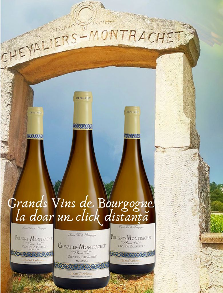 Jean Chartron Grands Vins de Bourgogne