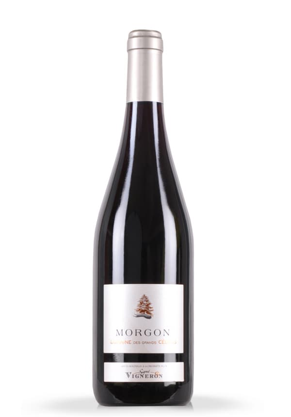 Vin Morgon, Domaine des Grands Cedres 2009 (0.75L)