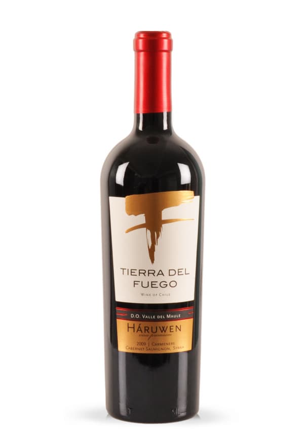 Wine Tierra del Fuego, Carmenere, Cabernet, Syrah, Haruwen, 2009 (0.75L)