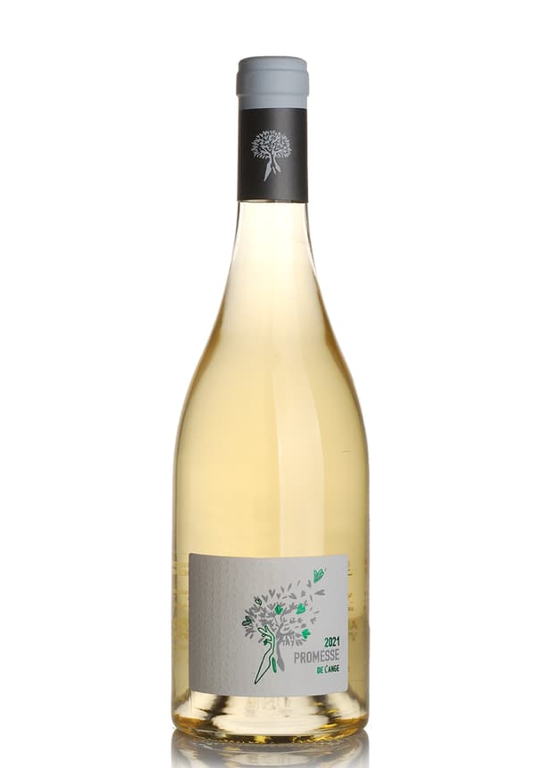 Vin Promesse De L'Ange Blanc Domaine Hermitage Saint Martin 2021 (0.75L)