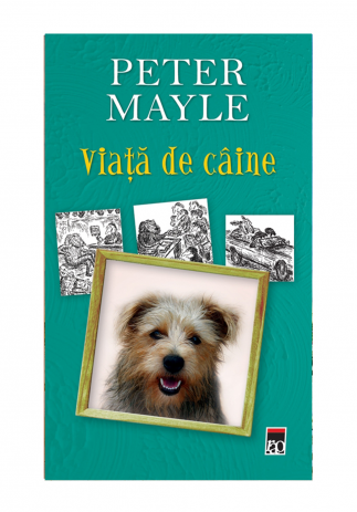 Viata de caine, Peter Mayle - Editura Rao Image