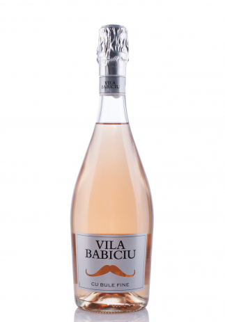 Spumant Vila Babiciu cu bule fine rose (0.75L) (3338, VILA BABICIU BULE FINE)